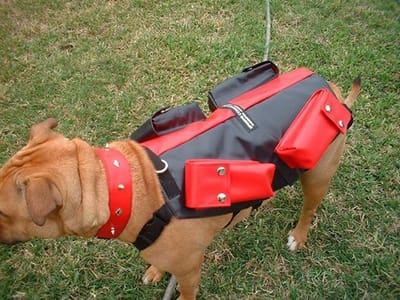 Buying The Best Quality Dog Vest With Weights Online