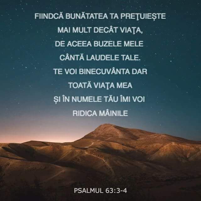 Versete din Scriptură