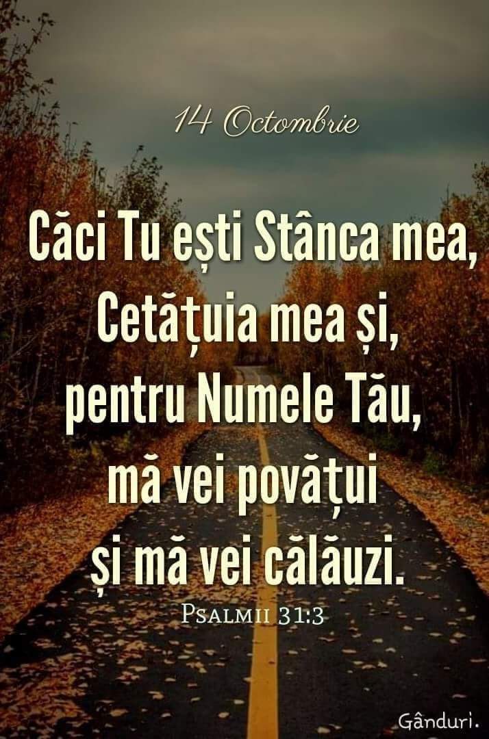 Versete din Scriptură