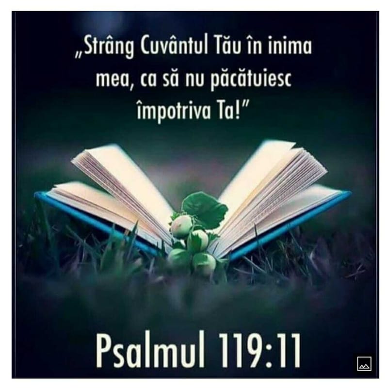 Versete din Scriptură