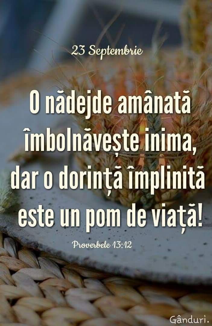 Versete din Scriptură