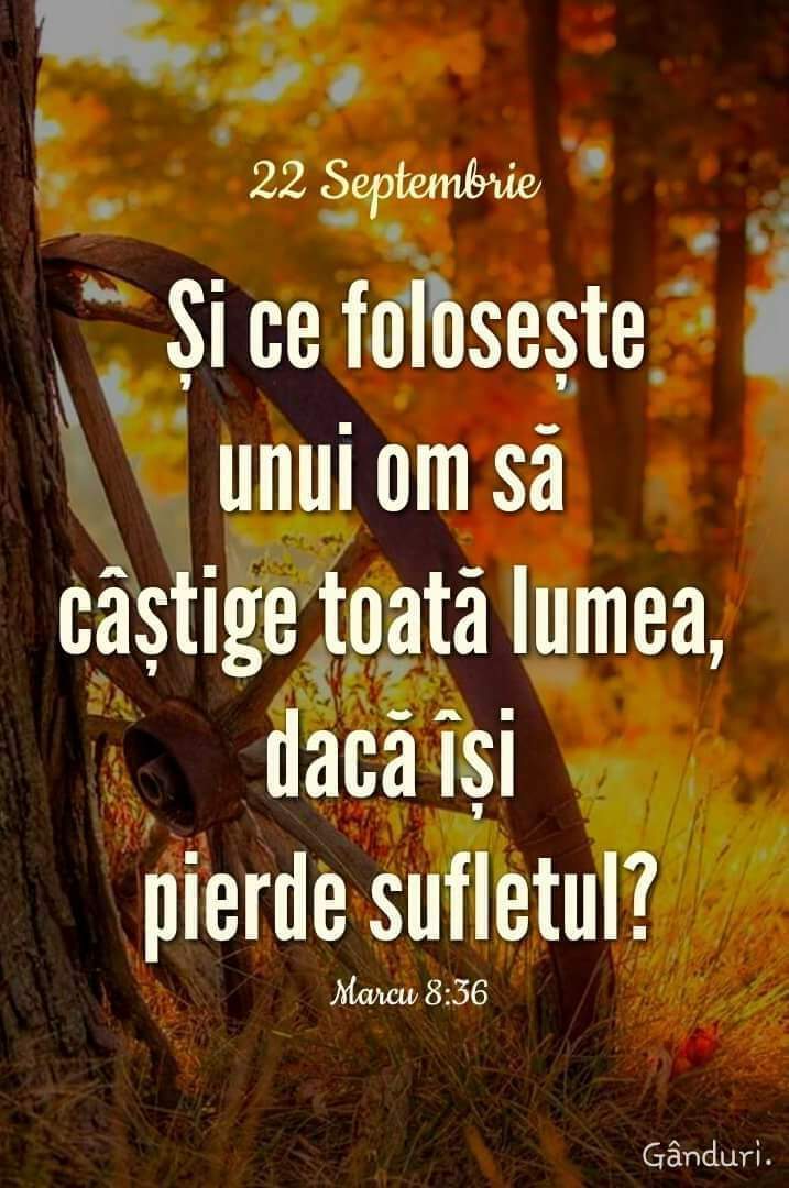 Versete din Scriptură