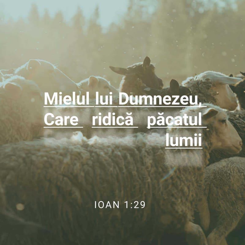 Versete din Scriptură