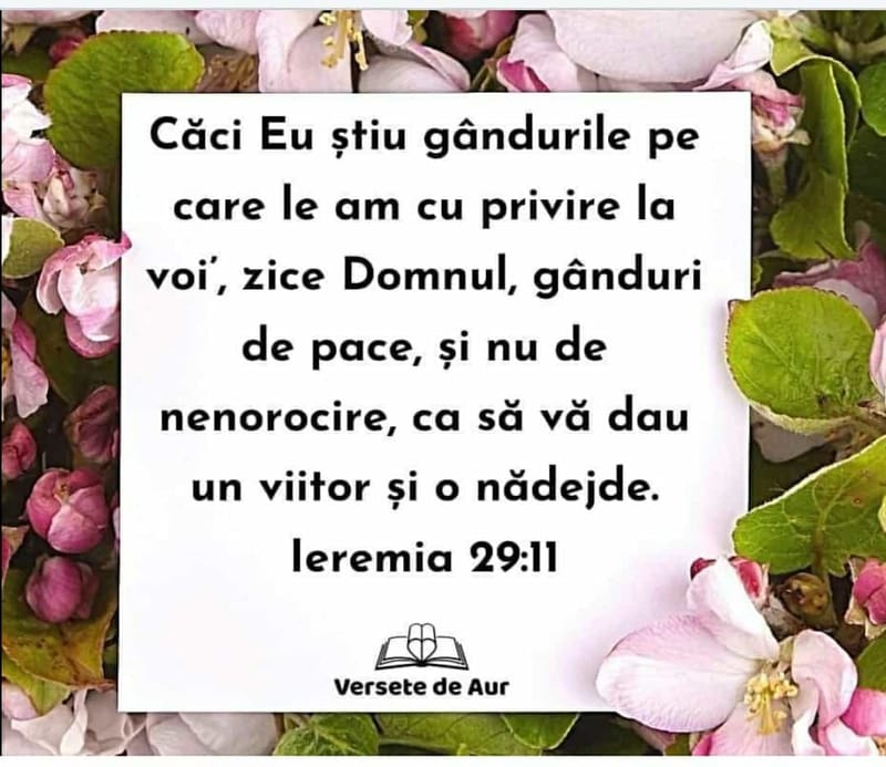 Versete din Scriptură