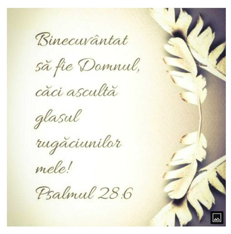 Versete din Scriptură