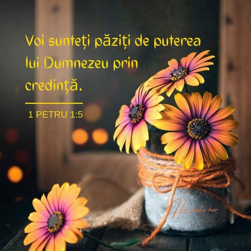 Versete din Scriptură