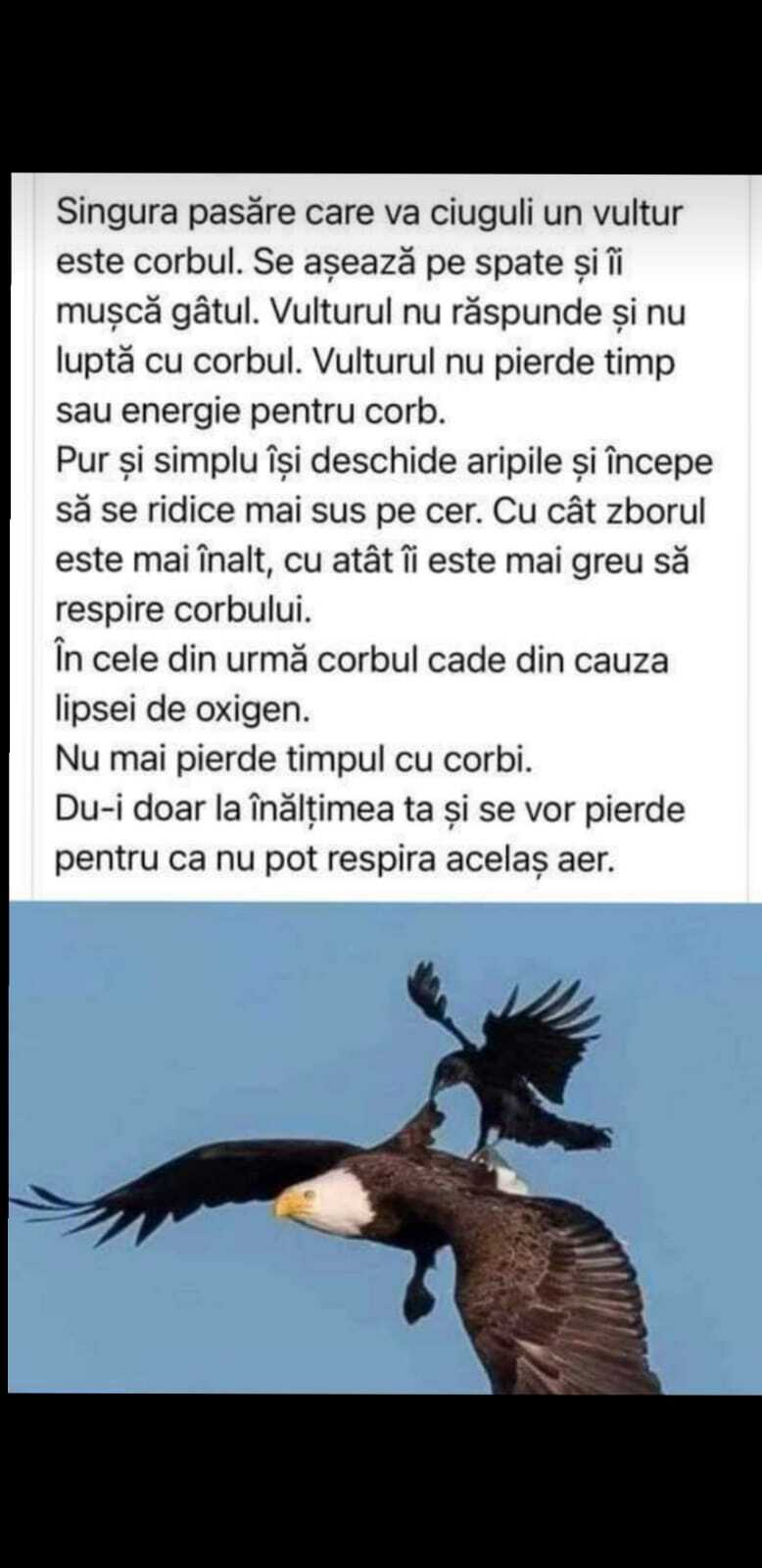 Gânduri Creștine