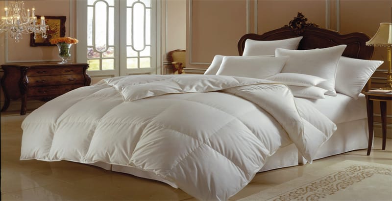 Hotel Quilt Cotton & Microfiber