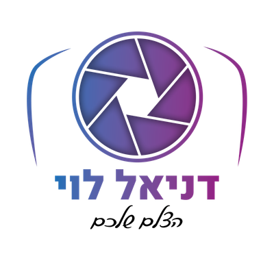 דניאל לוי