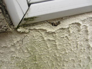 Purchase price, rent and what other costs?