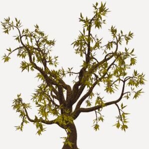 4 - A Theme for The Constitutional Compliance Branch, (CCB) ,       A 4th Branch of Government