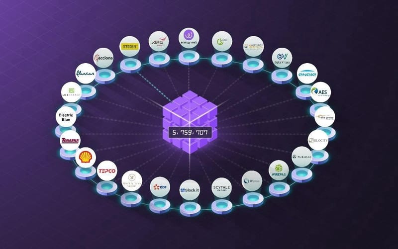 THE VALIDATOR NETWORK