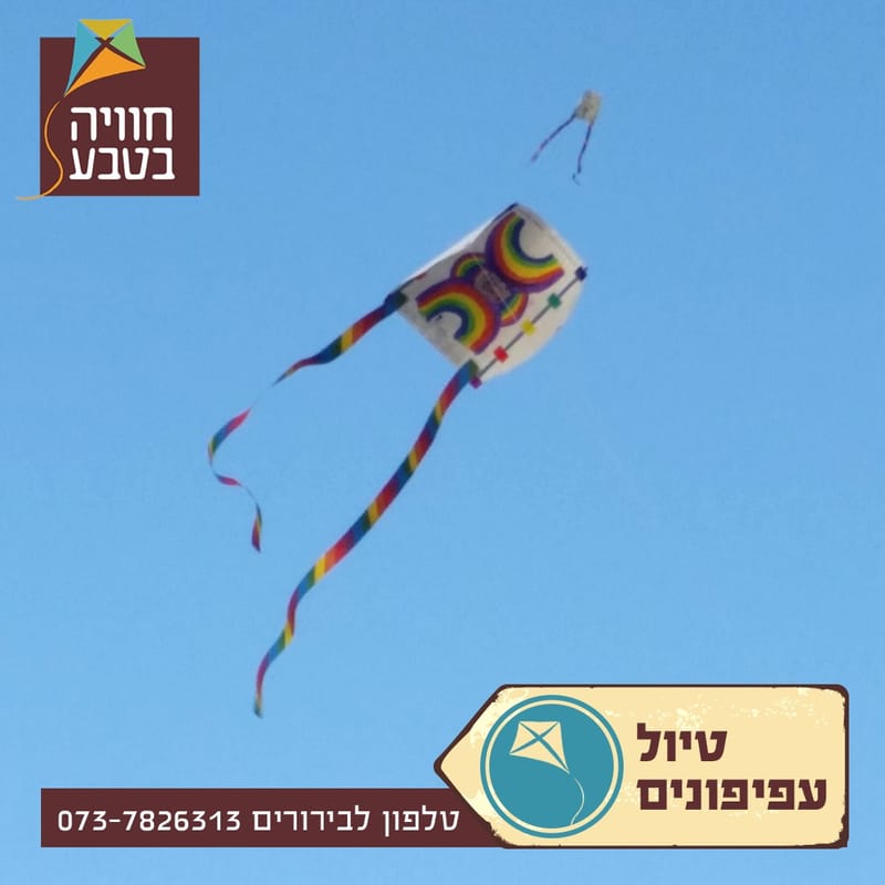 סדנאות עפיפונים