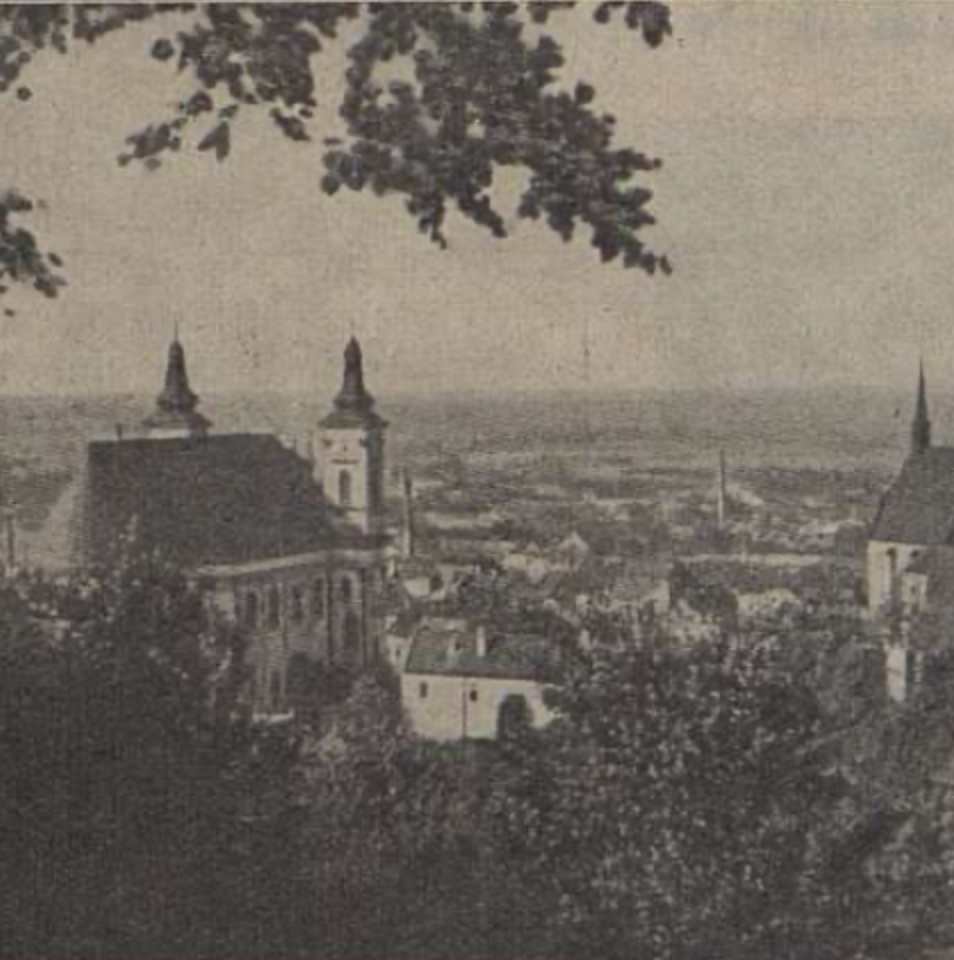 Das Eccehomosteinbild bei Sternberg