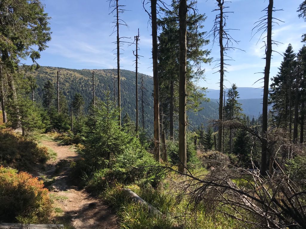 Ausblick aufs Heidebrünnl