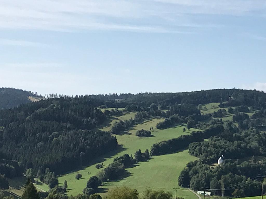 Von Hermannstadt über den Vorwitz, die Petersbaude und die Bischofskoppe führt ein 12 km langer Weg nach Zuckmantel.