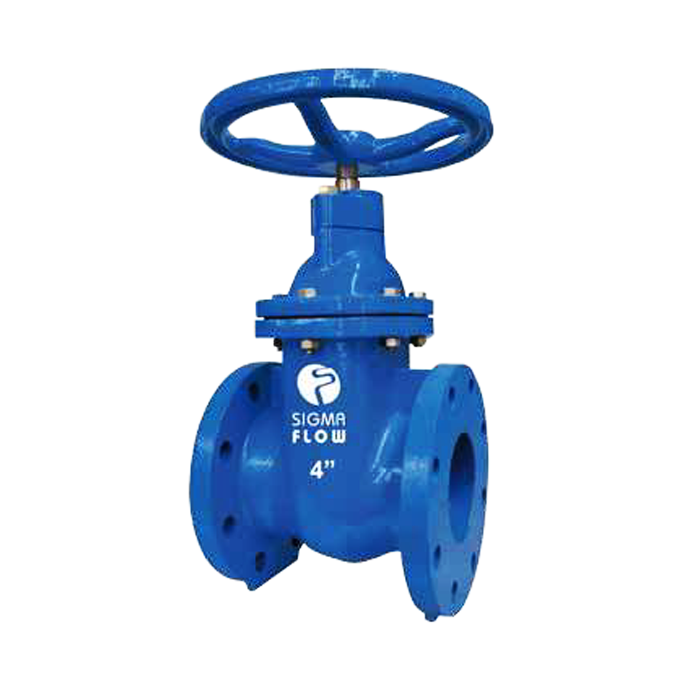 Cast Iron Gate Valve, Fixed Stem
