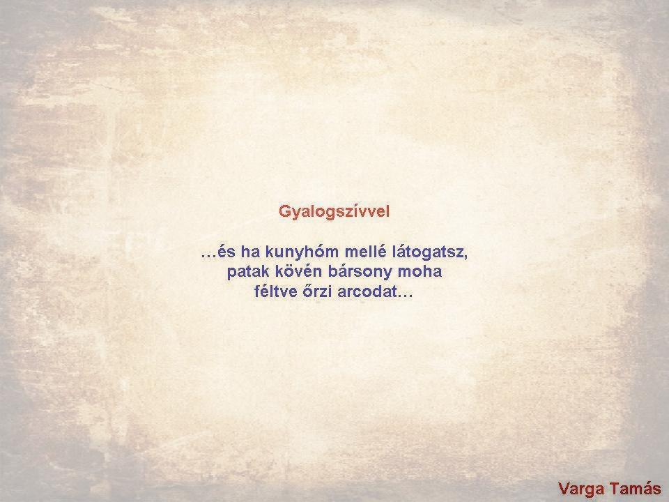 Gyalogszívvel