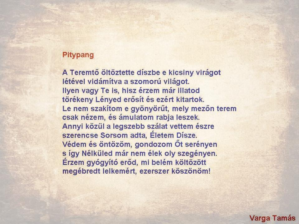 Pitypang