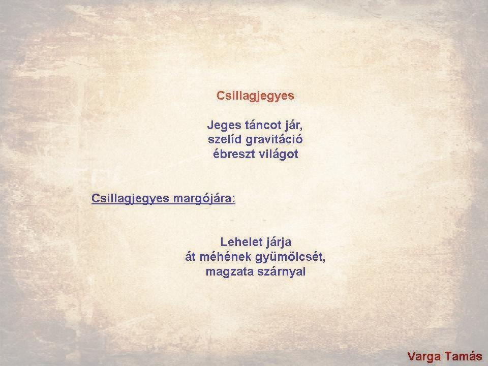 Csillagjegyes