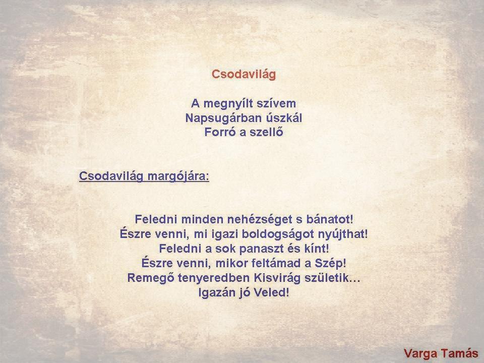 Csodavilág