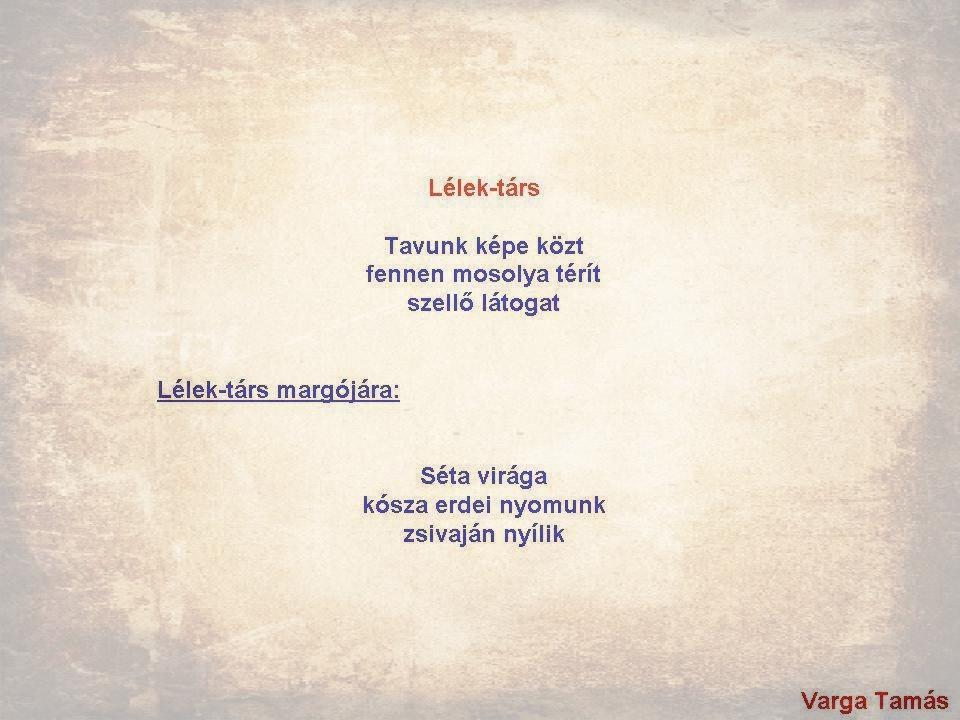 Lélek-társ