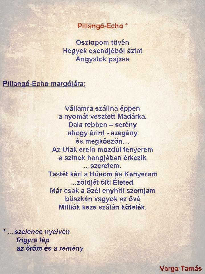 Pillangó-Echo