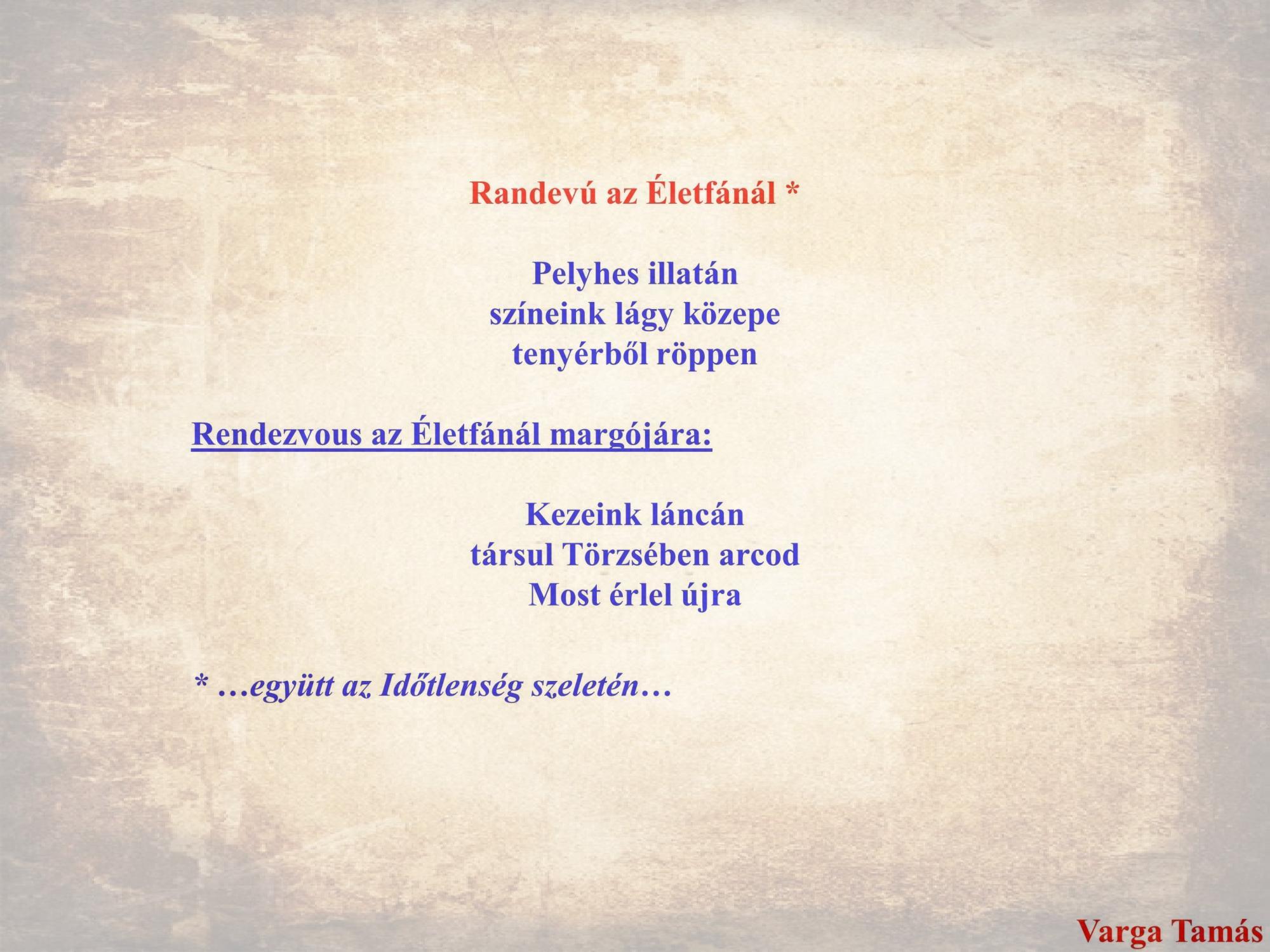 Randevú az életfánál