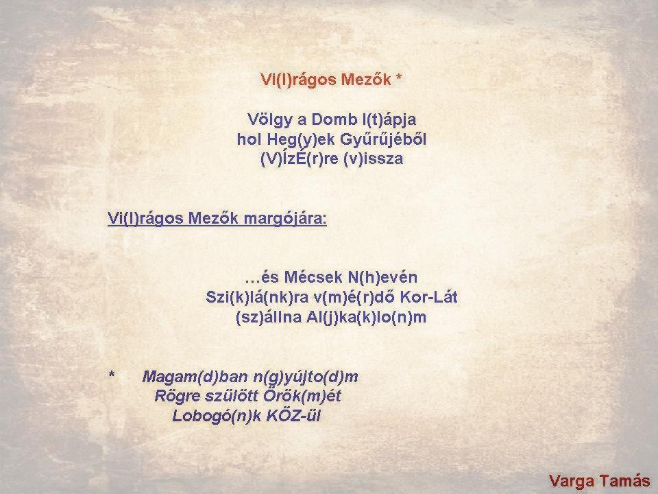 Vi(l)rágos Mezők
