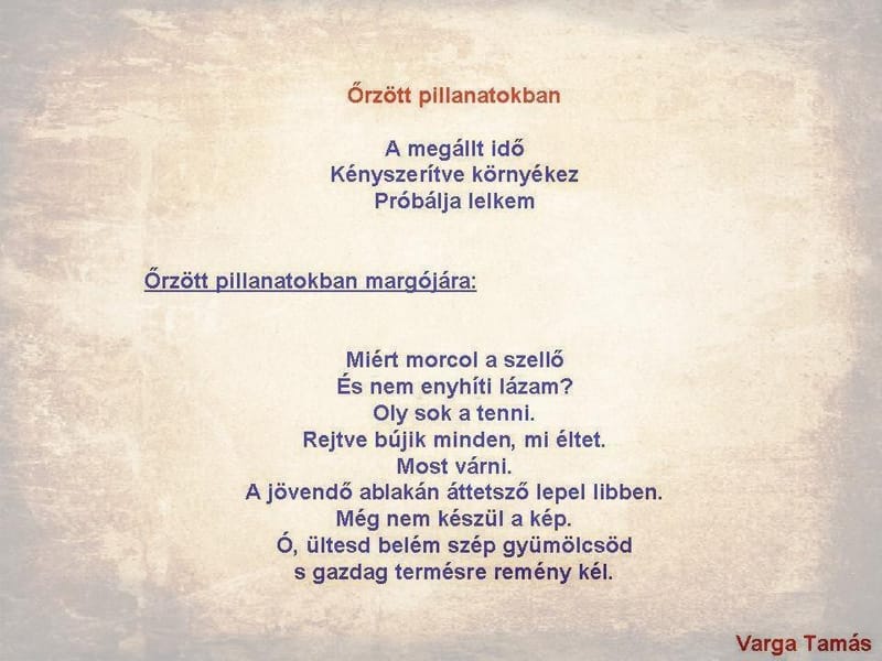 Őrzött pillanatokban