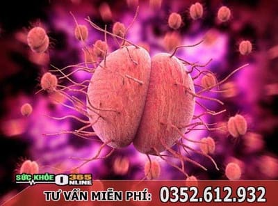 Chua benh lau bao nhieu tien