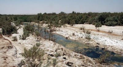 محمية الفيفا الطبيعية