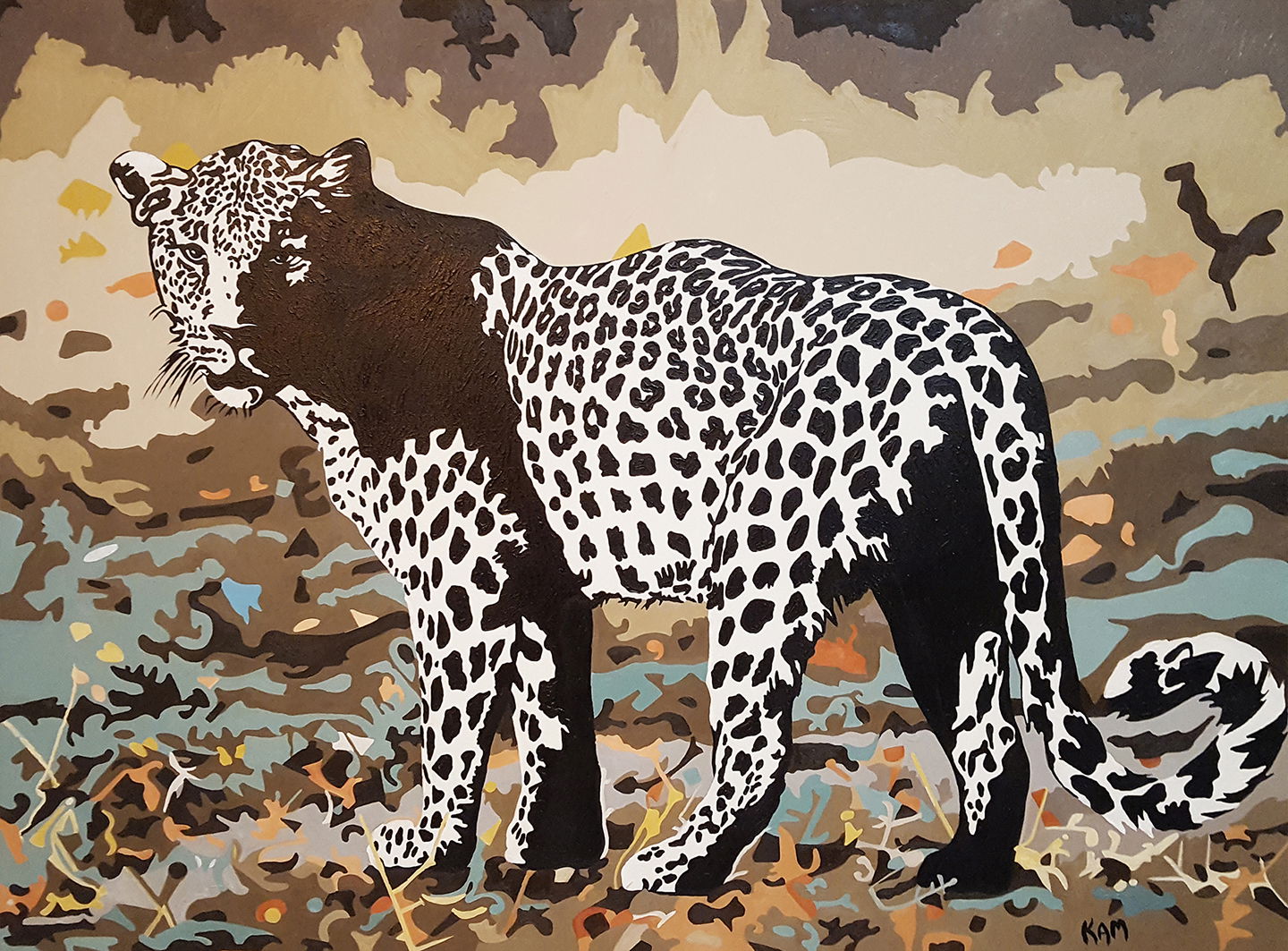 Leopard, African Collection