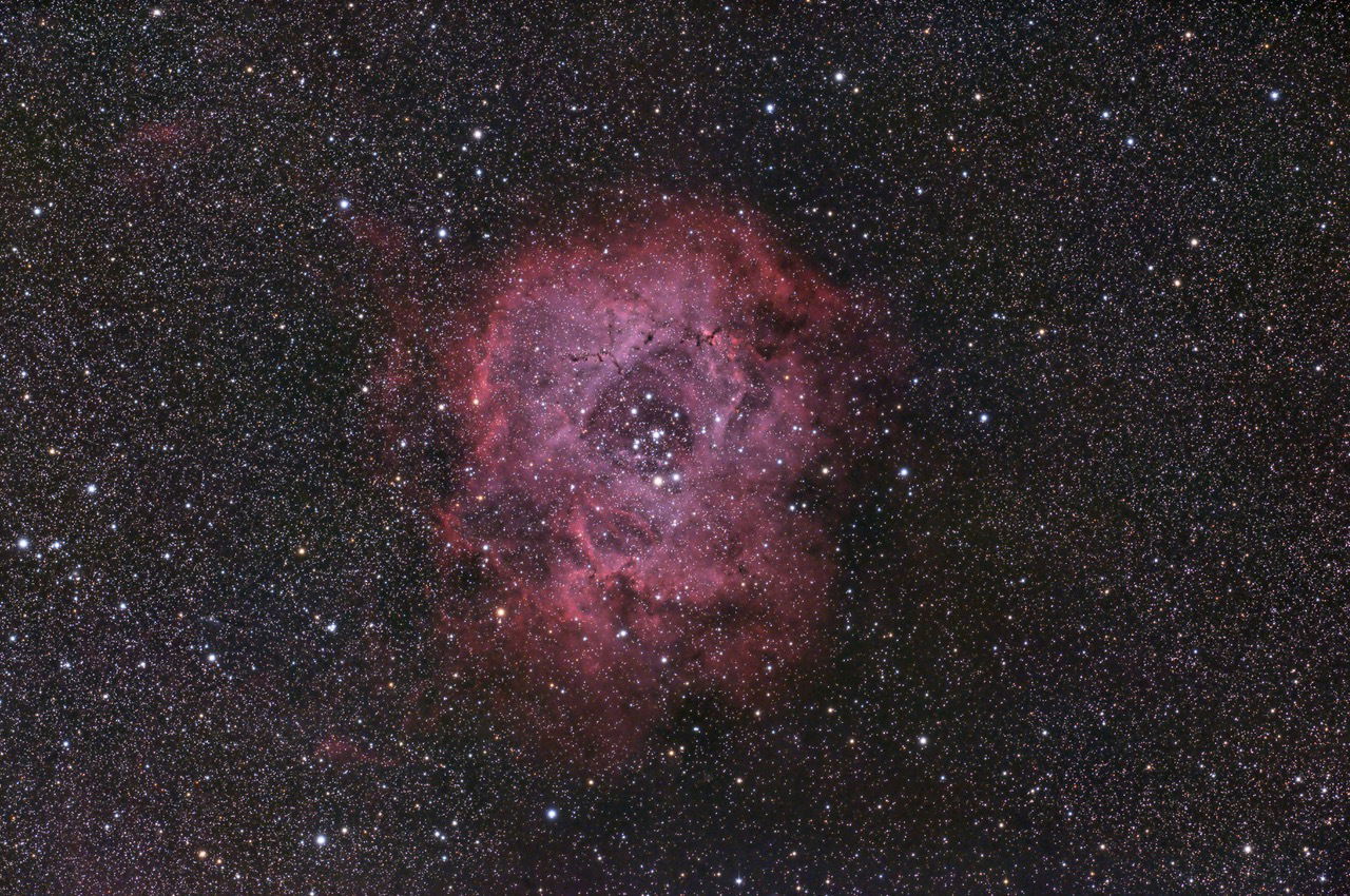 NGC 2244 la nébuleuse de la Rosette - crédit Jérome Roger