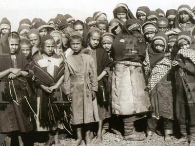 עדות קשה image