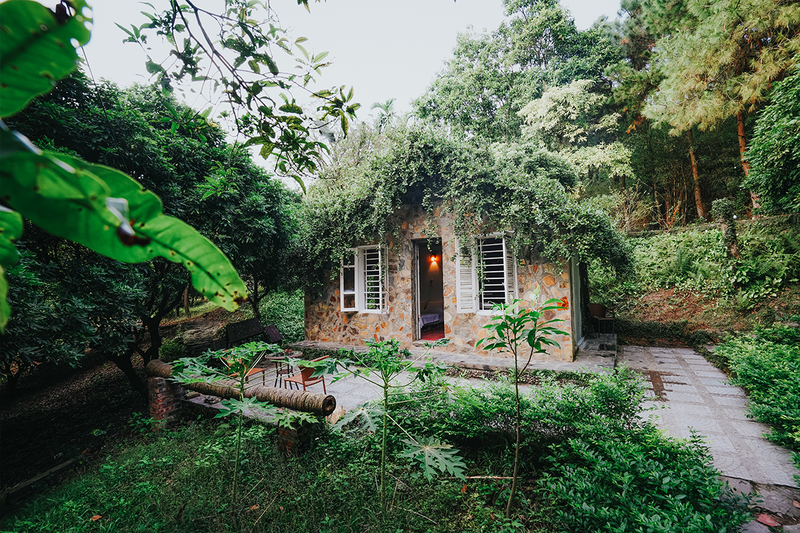 Aloha Valley Bungalow Homestay soc son hanoi