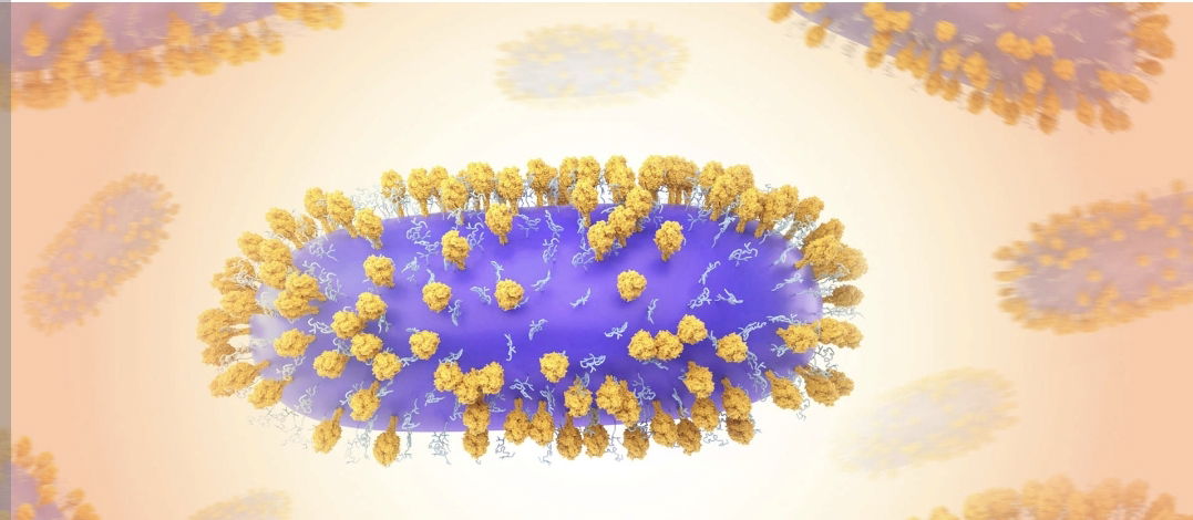 الفيروس المخلوي التنفسي Respiratory syncytial virus  RS