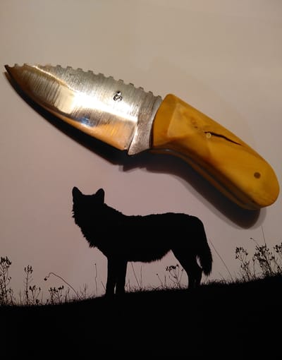 LE COUCOU (version 1) - 50€