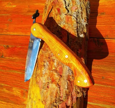 LE GRAND PIÉMONTAIS (serpent) - 175€