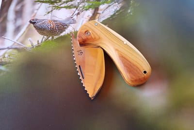 LE COUCOU PLIANT - 70€