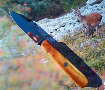 L'OFFICE DE CUISINE - 55€