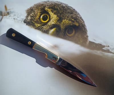 LA VENDETTA - 175€