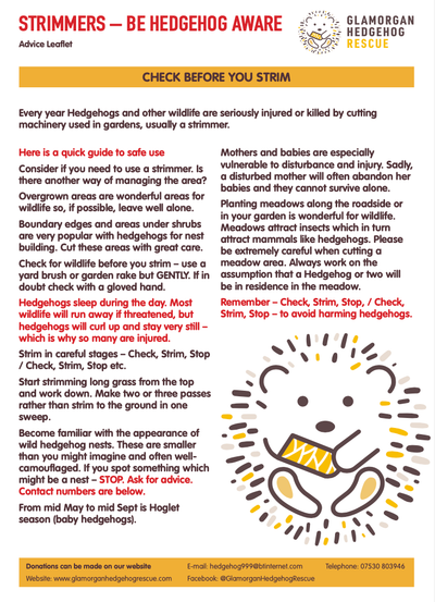 Guide for using Strimmers