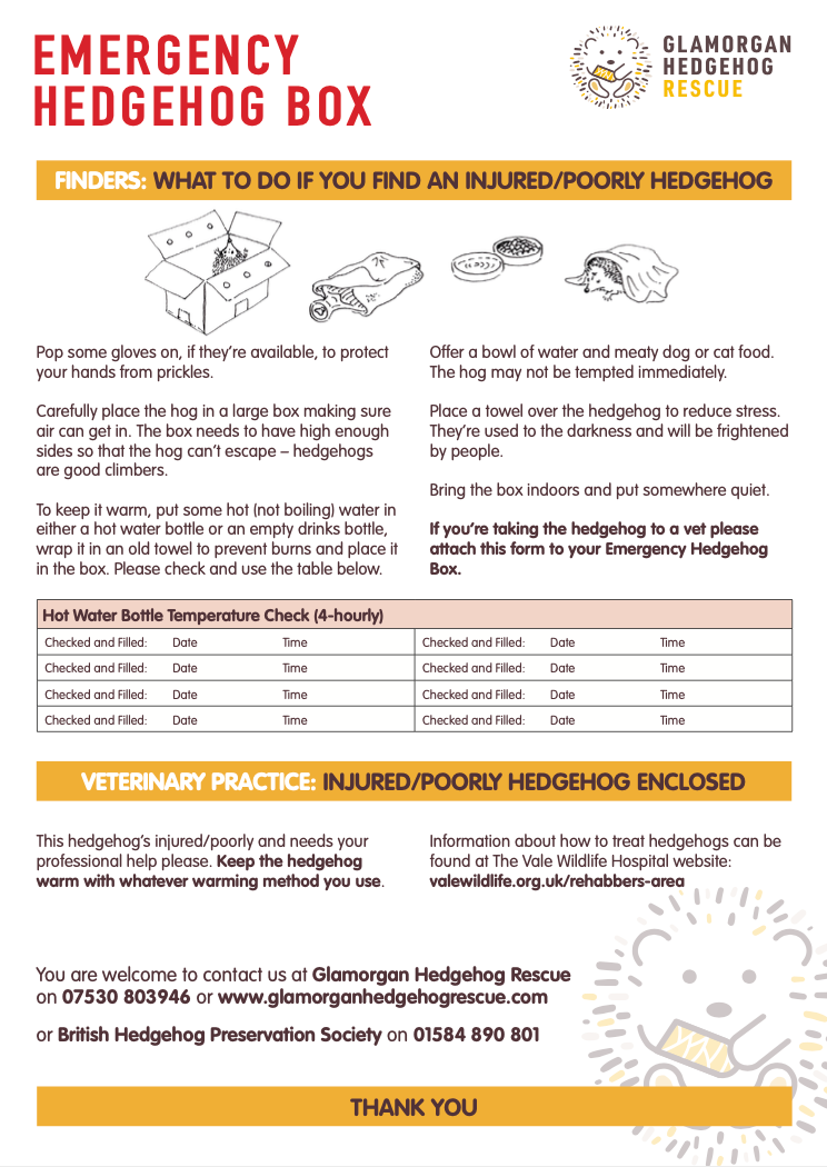 The Emergency Hedgehog Box - Glamorgan Hedgehog Rescue