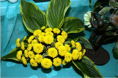 29th Sunday in Ordinary Time