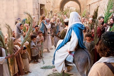 6th Sun of Lent YC, Palm Sunday