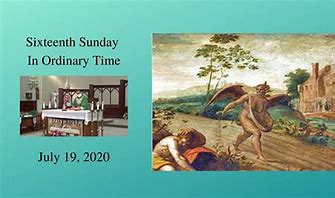 16th Sun in Ordinary Time YA