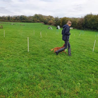 NEW -Just added one to one short courses