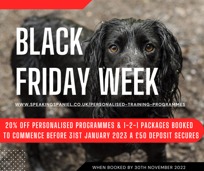 Black Friday