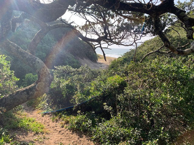 Walking to the Beach